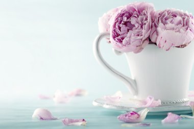 Pembe şakayık çiçekleri