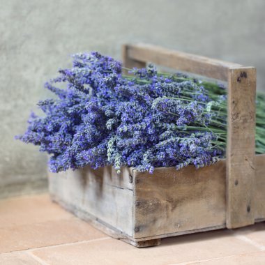 Bir demet lavanta çiçeği