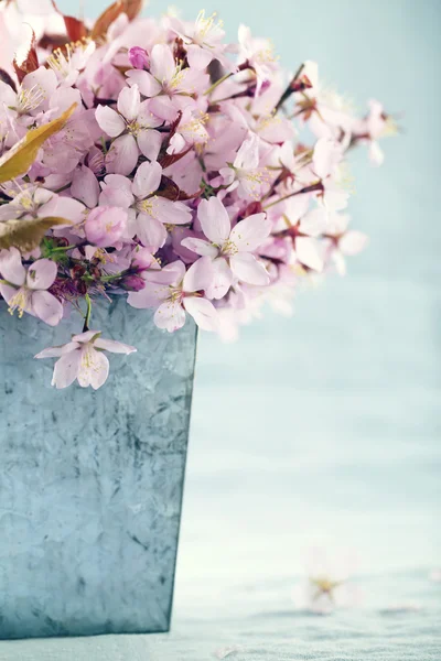 Flores de cerezo — Foto de Stock