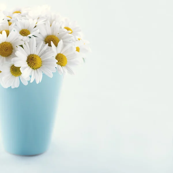 Ramo de flores de margarita — Foto de Stock