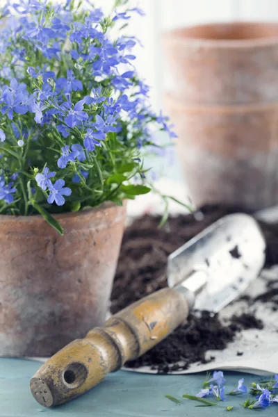 Sztuka narzędzia ogrodnicze — Zdjęcie stockowe