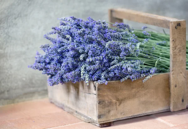 Boeket van lavendelbloemen — Stockfoto