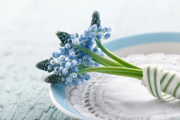 Flores de Muscari azul Imágenes de stock libres de derechos