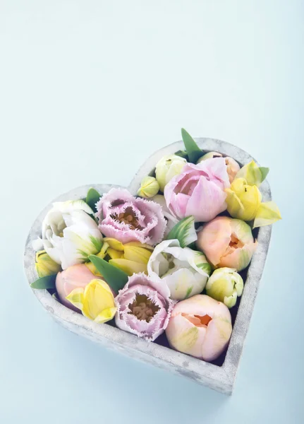 Tulipanes coloridos en un jarrón en forma de corazón Fotos de stock
