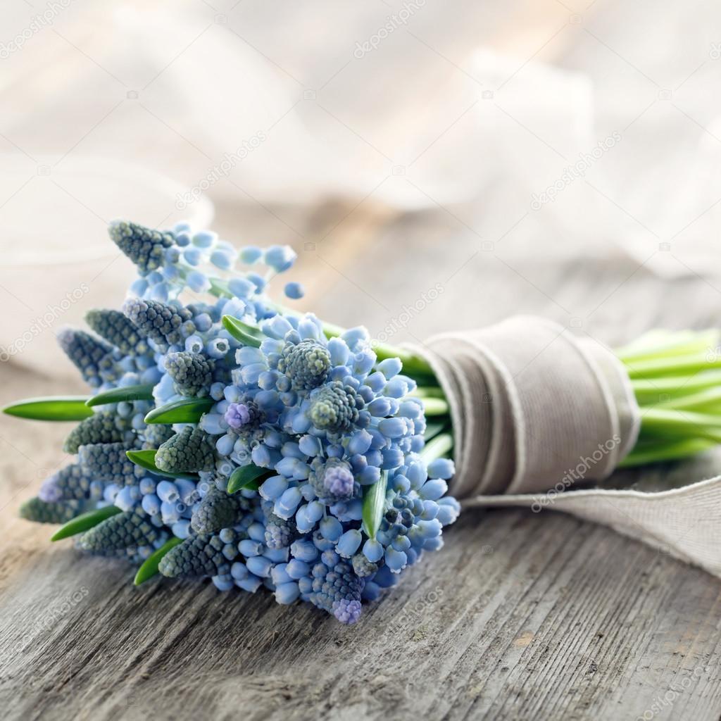 ムスカリの花の花束 ストック写真 C Anskuw