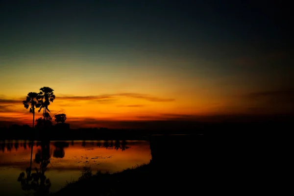 Landschaft Von Reisfeldern Thailand Bei Sonnenaufgang Palmen Spiegeln Sich Wasser — Stockfoto