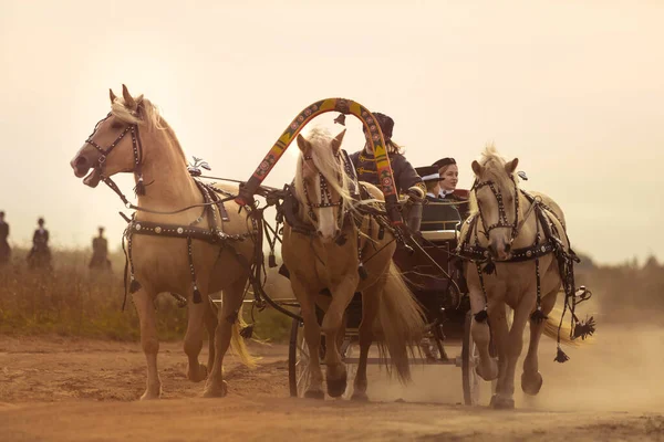 04.10.2020 Russia, Moscow. Crew harnessed by three horses in the field. Dust from under the hooves. — Stock Photo, Image