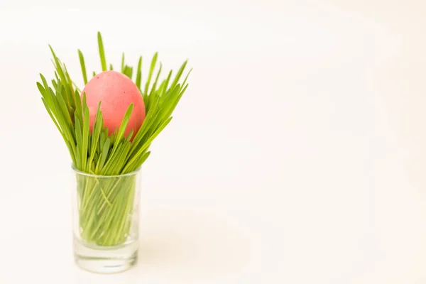 L'œuf rose peint de Pâques se trouve dans un bouquet d'herbe dans un verre sur un fond blanc — Photo