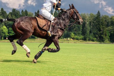 At polo oyuncusu elinde çekiçle ata biniyor ve top için atağa geçiyor. Yaz mevsimi, boşluklar