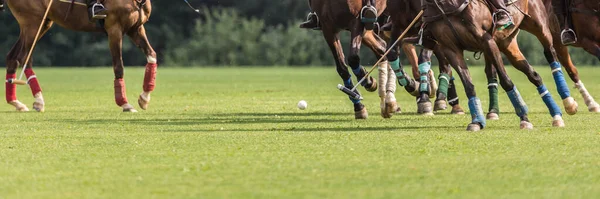 Jugando polo ecuestre. Hay muchas patas de caballo y un grupo de jinetes en ataque con un martillo. —  Fotos de Stock