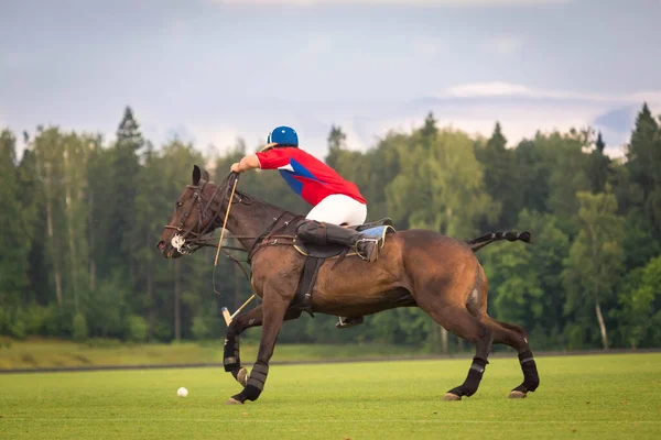 Un joueur de polo à cheval galope dans l'attaque avec un marteau à la main. — Photo