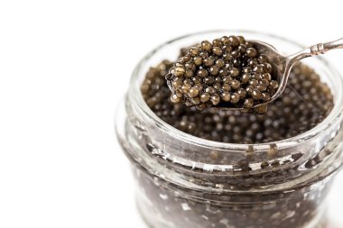 Cam kavanoz premium siyah beluga havyarı ve içi yumurta dolu küçük gümüş bir kaşık. Beyaz arkaplan, yazı için yer