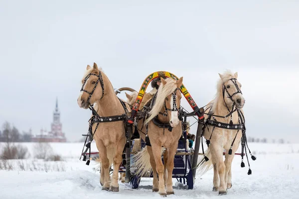ロシアの伝統的な楽しみ-そりで冬に3頭の馬に乗って疾走する。3頭の馬が高速でジャンプします. — ストック写真