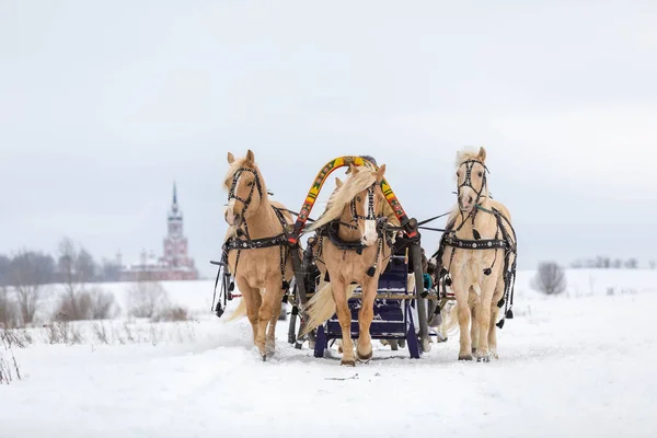 ロシアの伝統的な楽しみ-そりで冬に3頭の馬に乗って疾走する。3頭の馬が高速でジャンプします. — ストック写真