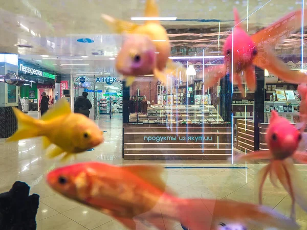 14.03.2021. Rusia, Moscú. Vista interior del centro comercial y tiendas a través del acuario con peces de colores. — Foto de Stock