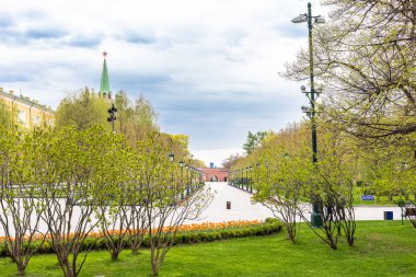 06.05.21, Rusya, Moskova. Kızıl Meydan yakınlarındaki Alexander Garden manzarası. Kimse..