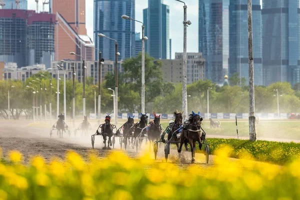 2021年5月16日ロシアモスクワ。夏のモスクワ競馬場でのリンクス馬のレース。モスクワ市の背景. — ストック写真