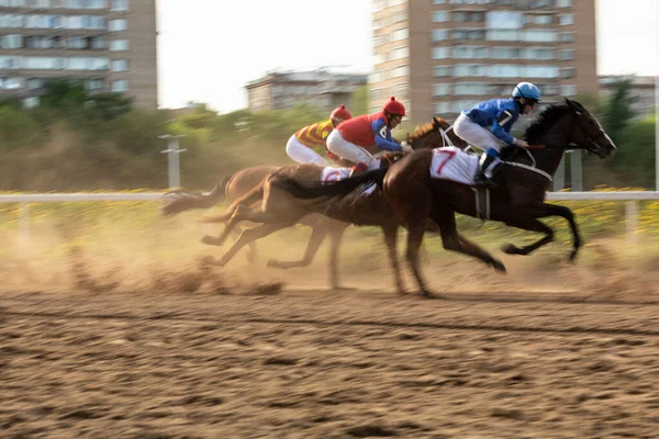 2021年5月16日。ロシア、モスクワ、中央競馬場。レースの短い距離でアラブの馬。ひづめの下の砂は — ストック写真