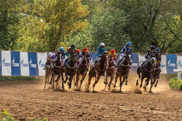 2021年5月16日ロシアモスクワ。中央競馬場。競馬アラブ馬。馬は駆け出し、ひづめから塵, — ストック写真