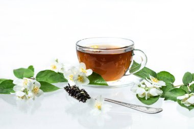 Beyaz arka planda yansıması ve gölgesi olan yasemin yeşili çaylı cam bardak. Çiçekli yasemin dalları.