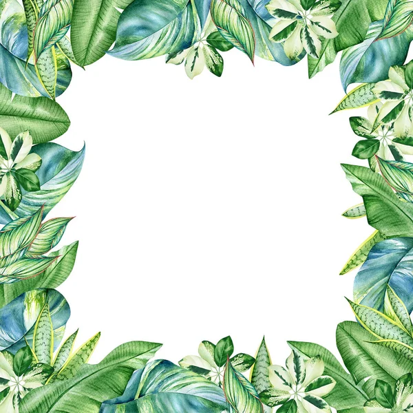 Floral Frame Watercolor Tropical Plants Isolated White Background — Stock Photo, Image