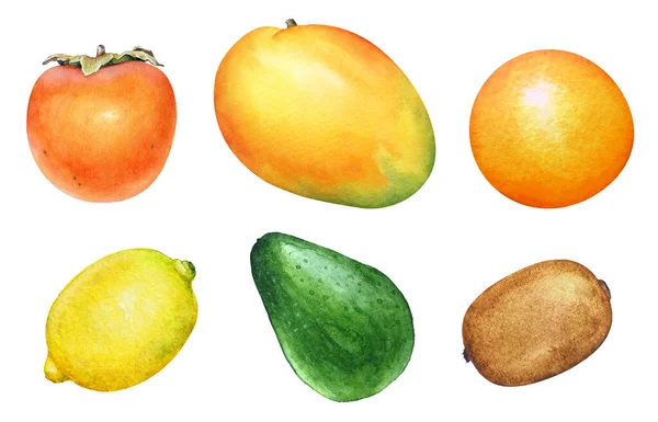 Collection Fruits Tropicaux Saison Hivernale Isolés Sur Fond Blanc Illustration — Photo
