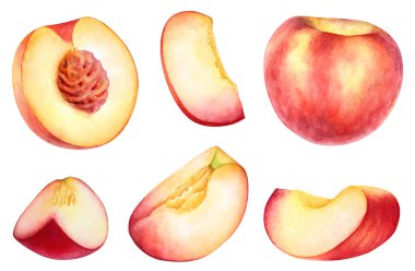 Suluboya şeftali ve meyve parçaları