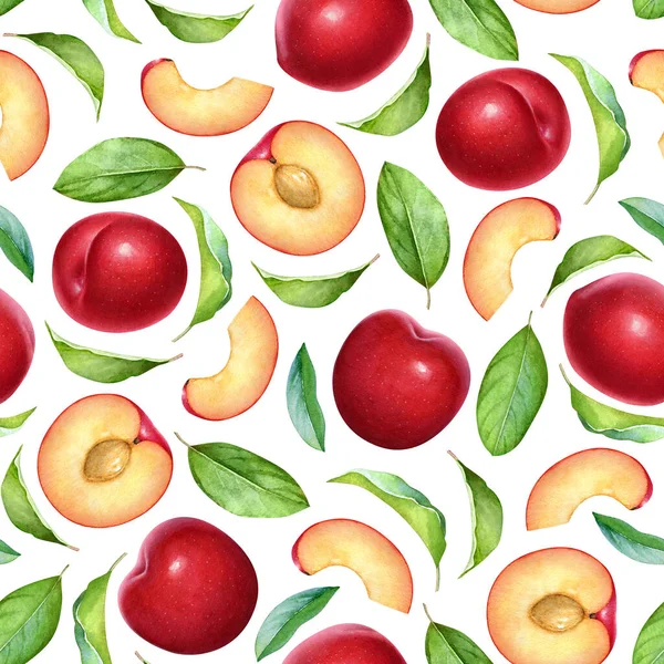白地に水彩色の赤い梅の実と緑の葉のシームレスなパターン — ストック写真