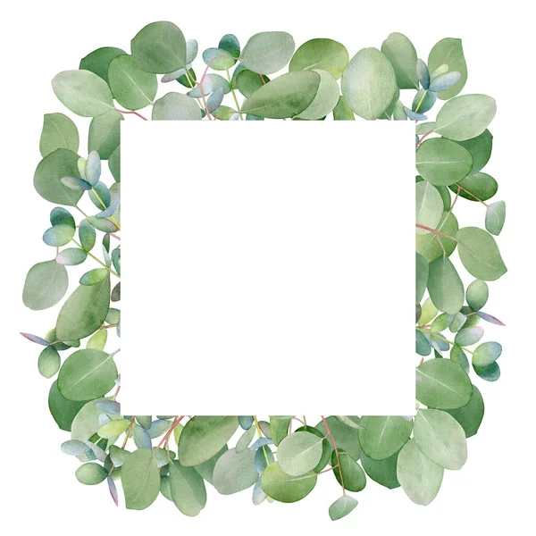 Cadre Avec Des Branches Eucalyptus Aquarelle Pour Conception Florale — Photo