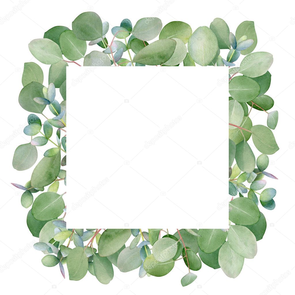 Frame with watercolor eucalyptus tree branches for floral design.