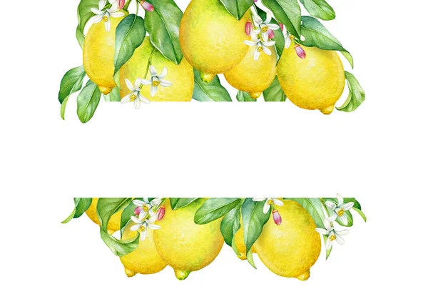 ポートフォリオ Lyubovtolstova ストック写真 イラストとベクターアート Depositphotos ポートフォリオ Lyubovtolstova ストック写真 イラストとベクターアート Depositphotos