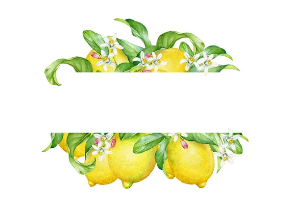Blommig Design Med Akvarell Citron Träd Grenar Med Frukt Blommor — Stockfoto