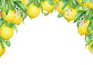 Frame with watercolor blooming lemon tree branches with fruits
