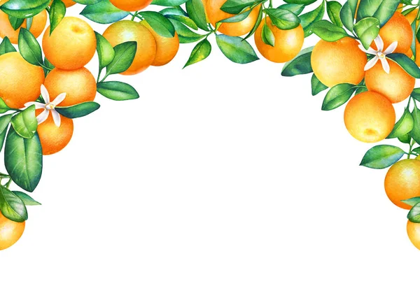 Rahmen Mit Aquarell Blühenden Orangenzweigen Mit Früchten — Stockfoto