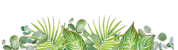 Florales Design Mit Aquarellgrünen Tropischen Blättern Und Zweigen Mit Platz — Stockfoto
