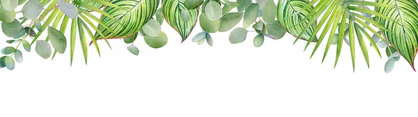 Floral Ontwerp Met Aquarel Groene Tropische Bladeren Takken Met Ruimte — Stockfoto