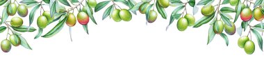 Zeytin ve yeşil yapraklı suluboya zeytin dalları dizayn et