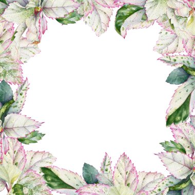 Çiçek tasarımı için çok renkli yapraklı suluboya tropikal bitkiler çerçevesi.