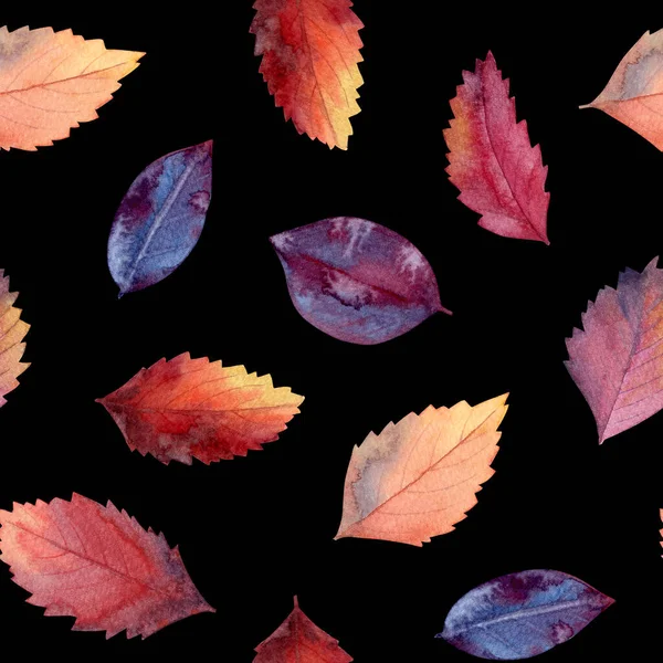 水彩紅葉とのシームレスなパターン黒の背景に葉 — ストック写真