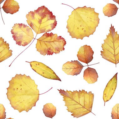 Beyaz zemin üzerinde suluboya sarı sonbahar yaprakları olan kusursuz desen.