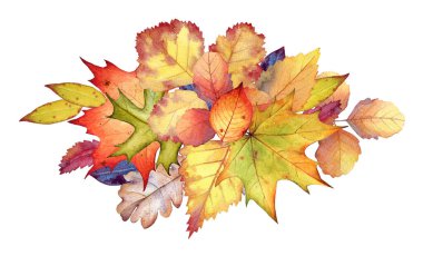 Çiçek tasarımı için sonbahar renkli yapraklı suluboya kompozisyonu