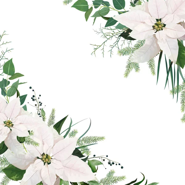 Vector Elegante Grußkarte Plakat Banner Winterhochzeit Einladen Weiße Weihnachtssterne Blume — Stockvektor