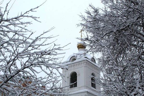 Koepel Van Een Kerkje Zichtbaar Door Takken Van Bomen Winter — Stockfoto