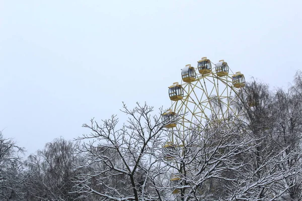 Giostra Ruota Panoramica Uno Sfondo Alberi Invernali — Foto Stock