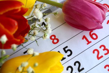 Lale çiçekleriyle çevrili 8 numaralı takvim