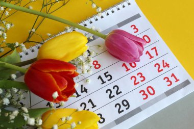 Lale çiçekleriyle çevrili 8 numaralı takvim