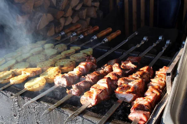 Carne Patate Fritte Sugli Spiedini Estate — Foto Stock