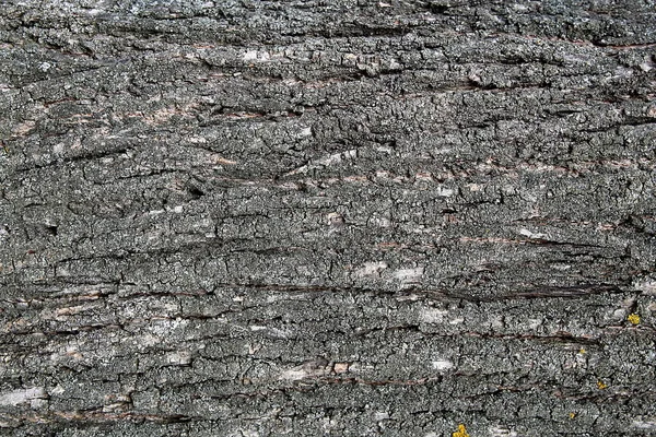 Struttura Astratta Della Corteccia Degli Alberi Disegno Orizzontale — Foto Stock