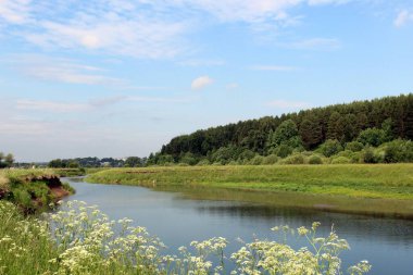 Güzel yaz manzarası nehri ormanın yakınında akıyor.