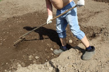 Bahçede bir adam tırmıkla yatağı hizalıyor.